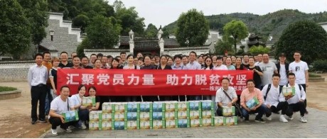 一颗小猕桃，一份红色心！